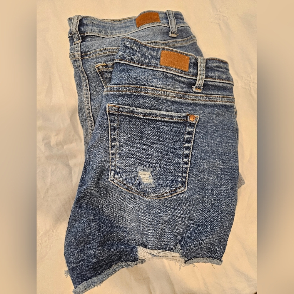 2 Pairs Size L Judy Blue Shorts